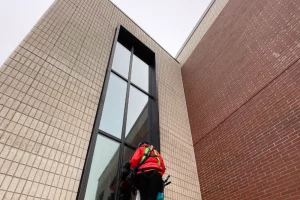 commercial window washing using ladder